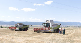 В разгара на жътвата на пшеница - Трактор БГ